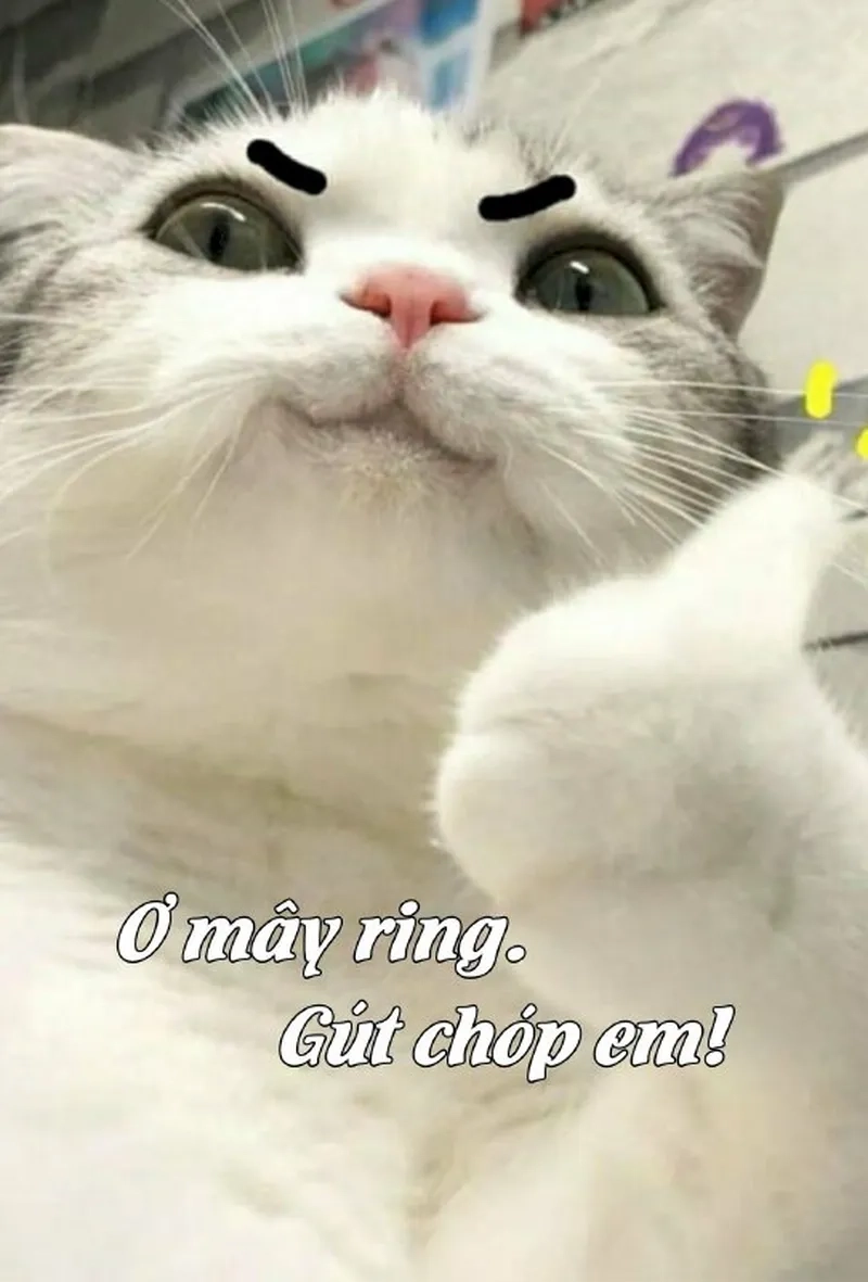 Kết quả cuối cùng đúng là meme ơ mây zing gút chóp