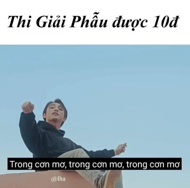 Tận hưởng phút thư giãn với meme sinh viên y khoa