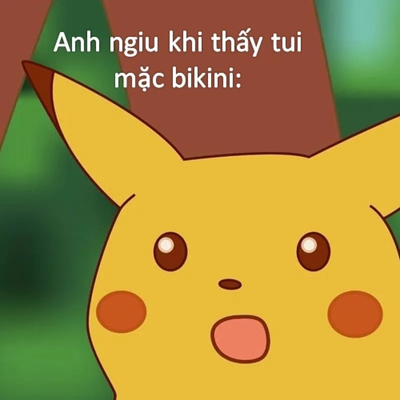 Pokémon phiêu lưu cùng meme Pokemon