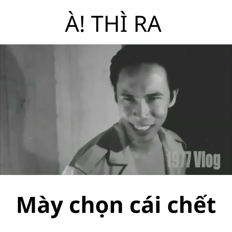 Video hài hước nhờ meme 1977 Vlog