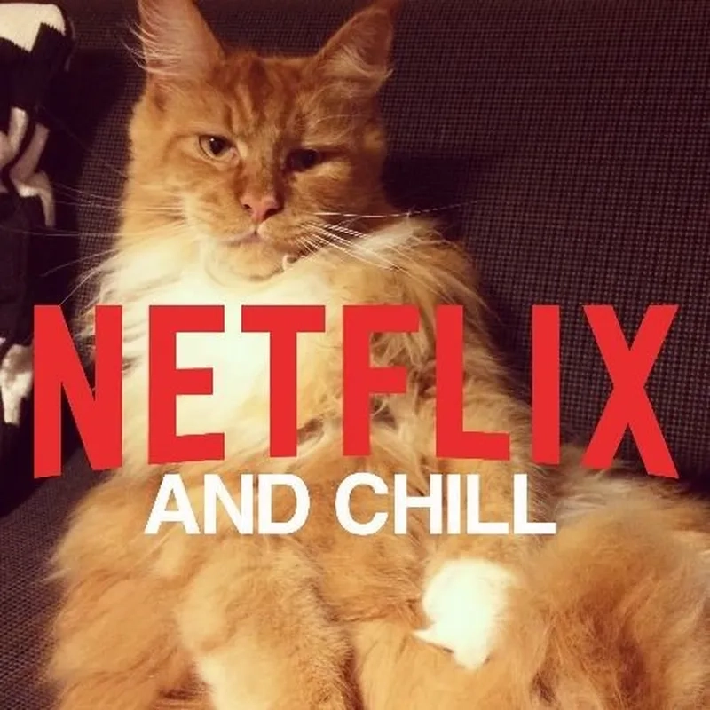 Thư giãn tối nay với meme Netflix and chill