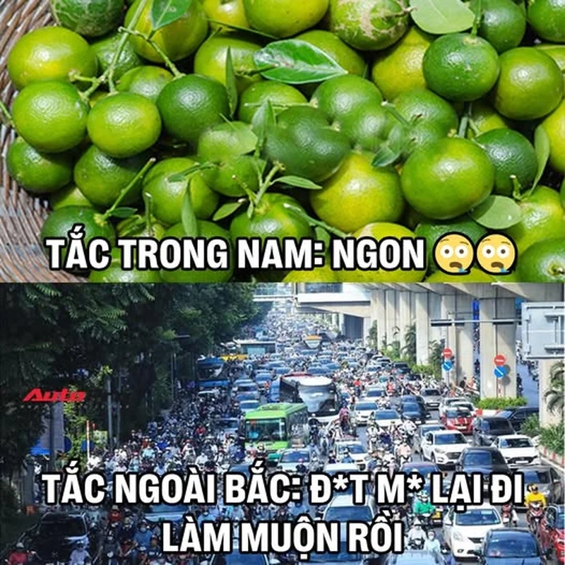 Khám phá meme tắc đường Hà Nội vui nhộn khiến bạn bật cười