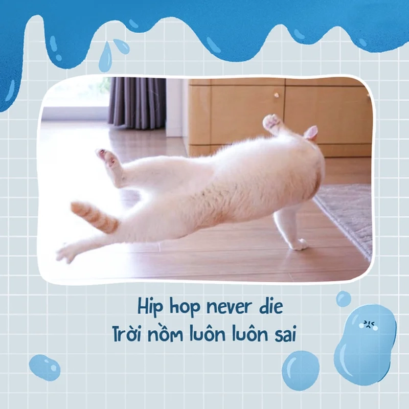 Đừng bỏ lỡ meme nồm ẩm đầy tiếng cười nhẹ nhàng