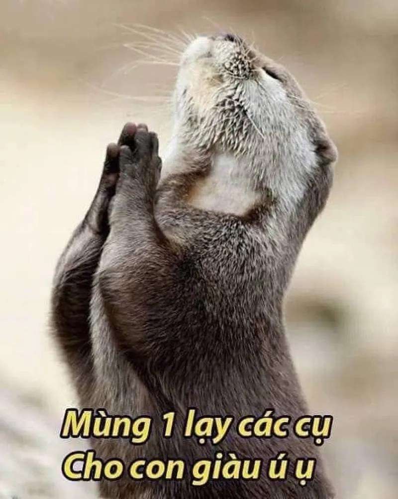 Chào ngày mới mùng đầu năm qua meme mùng 1