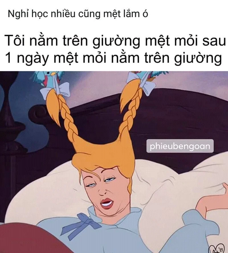 Thích nằm ườn cả ngày với meme nằm trên giường