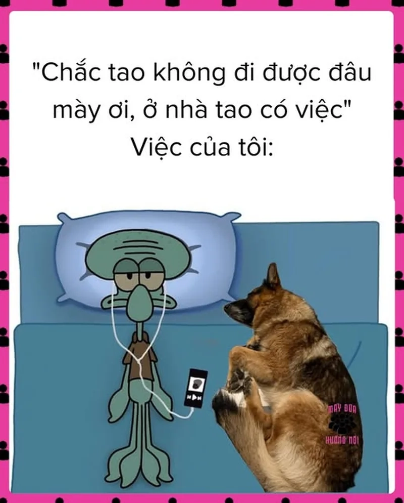 Thích dành thời gian một mình meme hướng nội