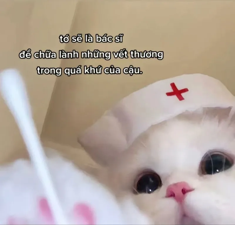 Hãy dành thời gian để chữa lành tâm hồn meme chữa lành