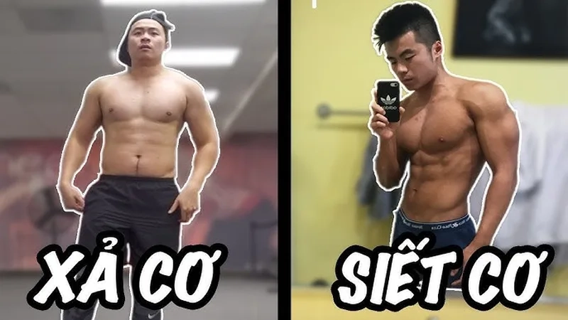 Bulk và siết cần kỷ luật cao meme bulk và siết
