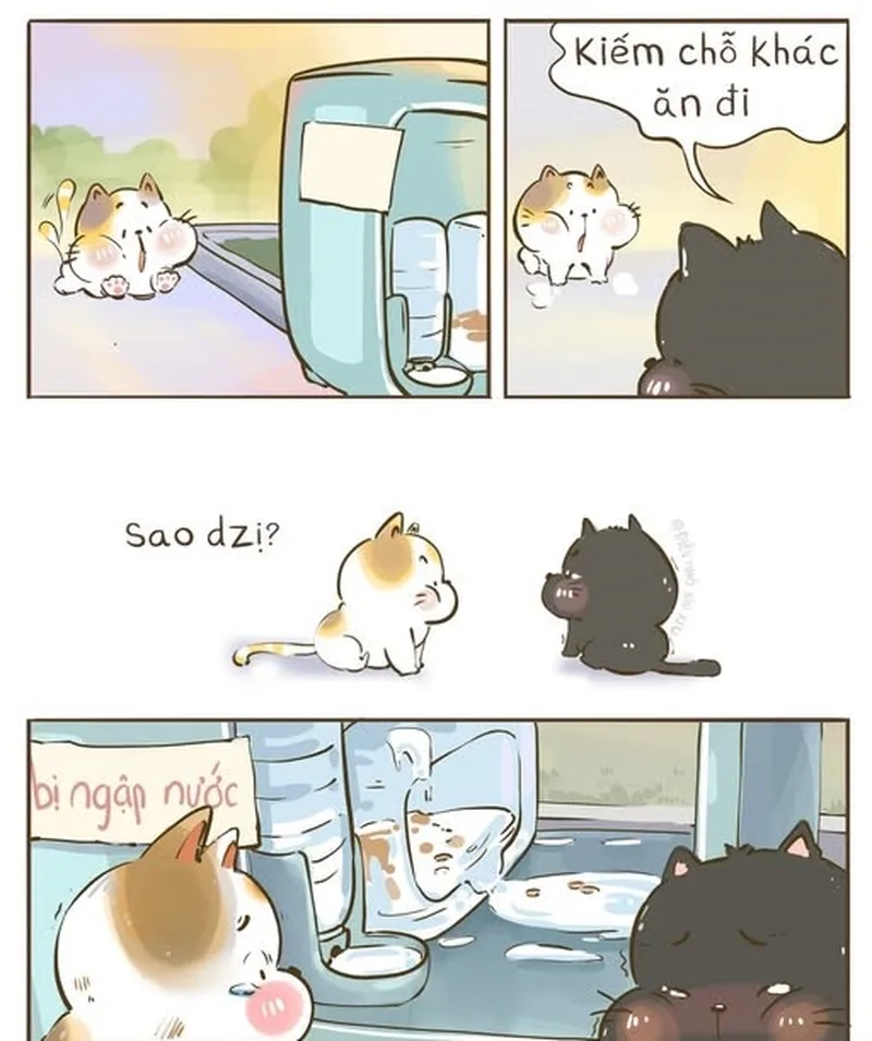 Thú cưng dọn bãi chiến trường không ngừng meme dọn 