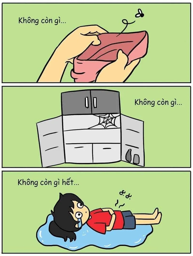 Nhìn bảng sao kê tôi chỉ biết meme có tiền và không có tiền