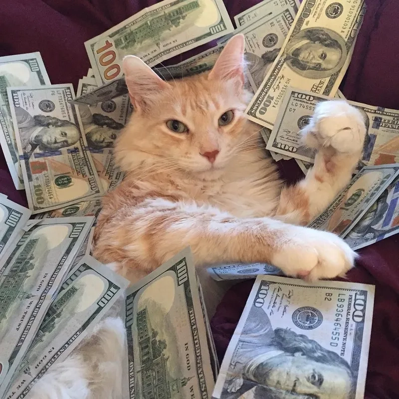 Chia sẻ chiến tích mua xe tôi chỉ biết meme flexing
