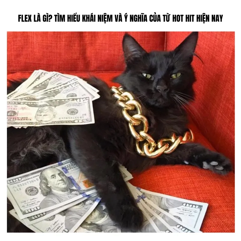 Khi mua đồ hiệu tôi phải meme flexing