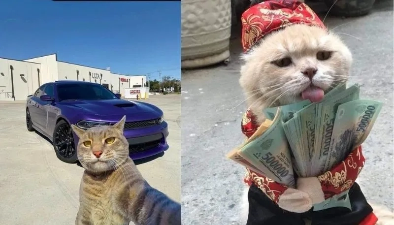 Hình ảnh giàu sang của cô ấy thật meme flexing