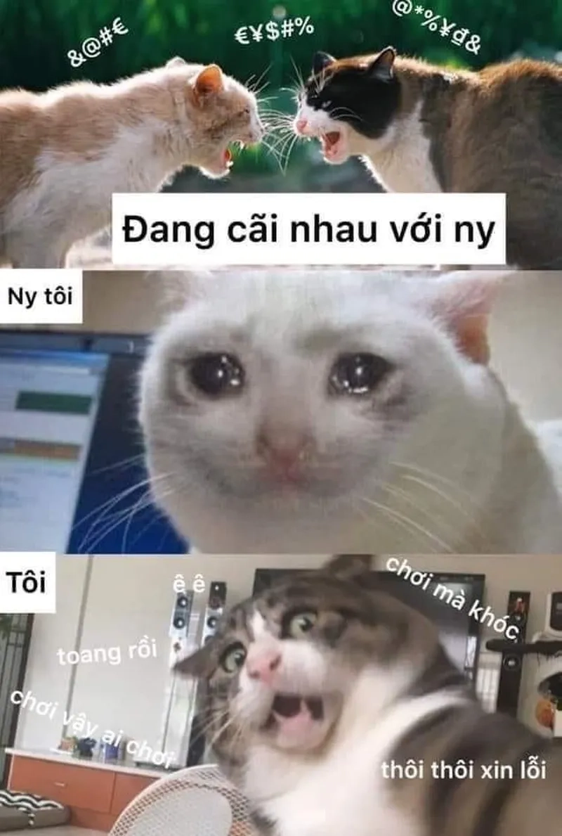 Cãi nhau mà vẫn yêu với meme cãi nhau với người yêu