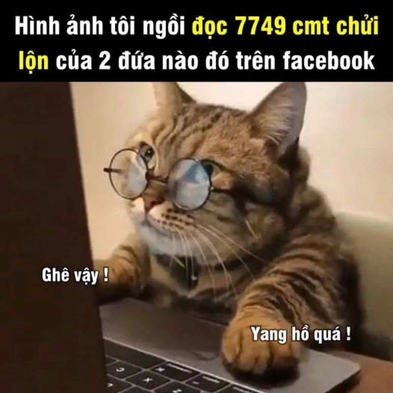 Drama trên mạng hôm nay thật căng meme drama trên mạng