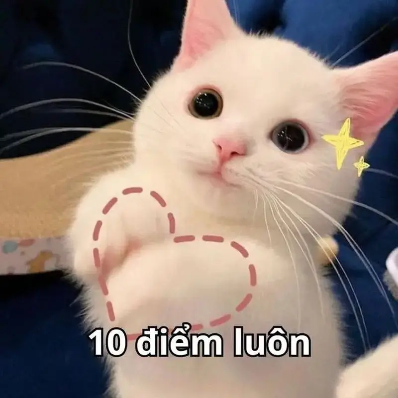 Gửi lời động viên qua meme khen ngợi
