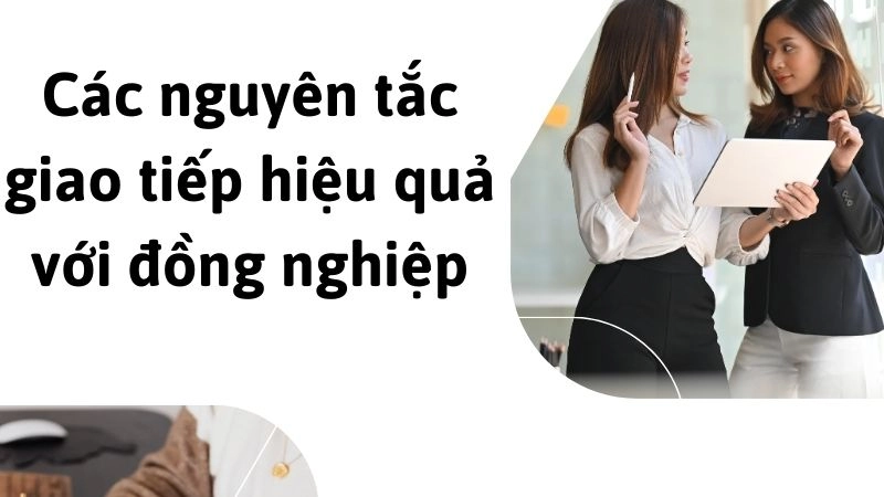 Các nguyên tắc giao tiếp hiệu quả với đồng nghiệp hàng ngày 
