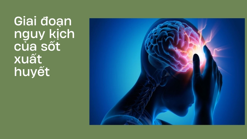 Giai đoạn nguy hiểm nhất của bệnh sốt xuất huyết