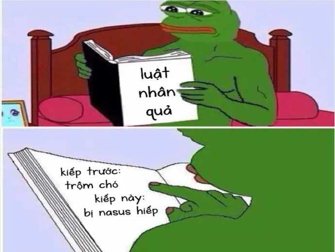 Khám phá meme triết lý suy ngẫm hài hước nhưng ý nghĩa