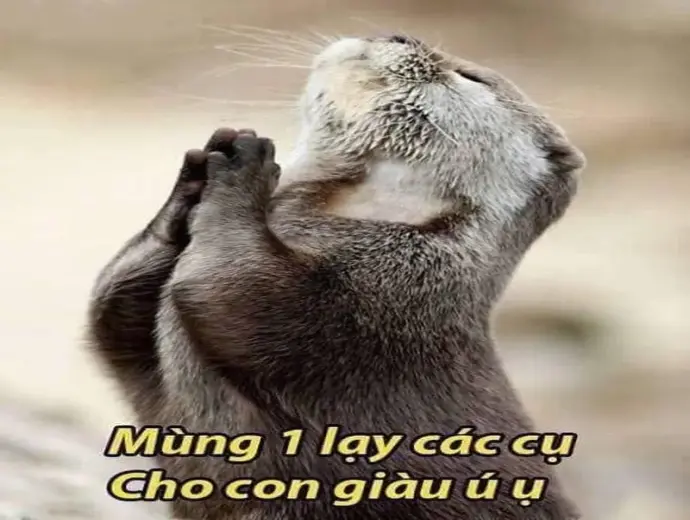 Kho meme về lễ tết bá đạo khiến ai xem cũng bật cười