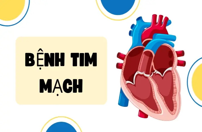 Bệnh tim mạch- Dấu hiệu cảnh báo và cách phòng ngừa sớm