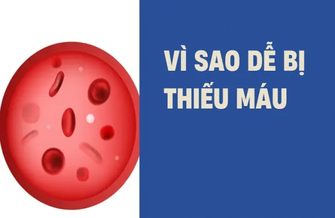 Nguyên nhân gây thiếu máu phổ biến và cách phòng ngừa