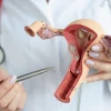 Âm đạo bình thường: Đặc điểm và dấu hiệu nhận biết