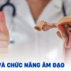 Âm đạo là gì? Cấu tạo, chức năng và những điều cần biết
