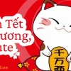 Avatar Hình Nền Tết Cute Dễ Thương Cho Năm 2026