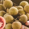 Bà bầu ăn nhãn được không? Lời khuyên từ chuyên gia dinh dưỡng