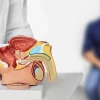 Khám bộ phận sinh dục nam ở đâu uy tín và các lưu ý quan trọng