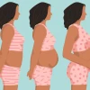 Mang Thai Là Gì? Các Thông Tin Cần Biết Để Chuẩn Bị Mang Thai