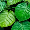 Ngứa âm đạo sau quan hệ: Nguyên nhân và cách xử lý hiệu quả