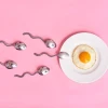 Thời điểm quan hệ dễ thụ thai nhất và những yếu tố cần biết