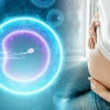 Thụ Tinh Nhân Tạo Là Gì? Khám Phá Chi Tiết Phương Pháp Hỗ Trợ Sinh Sản