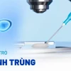 Tinh trùng là gì? Giải đáp chi tiết về cấu tạo, vai trò và quá trình hình thành