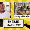 Tổng hợp 17 ảnh meme vui nhộn và hài hước nhất năm 2026
