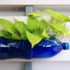Tự Làm Chậu Hoa Từ Chai Nhựa Đẹp Mắt, Thân Thiện Môi Trường