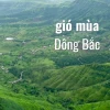 Phân tích những ảnh hưởng của gió mùa đông bắc đến Việt Nam năm 2026