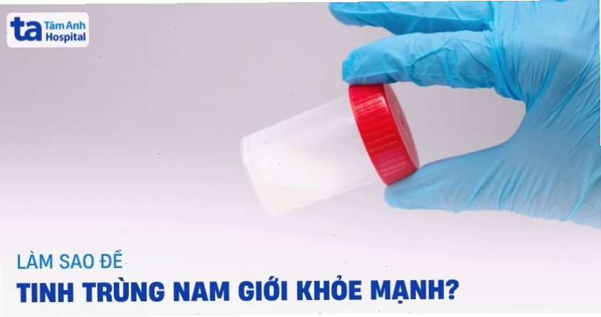 10 cách giúp tinh trùng khỏe mạnh và tăng khả năng thụ thai