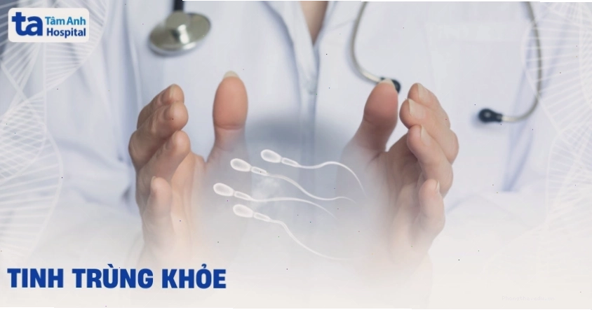 4 cách nhận biết tinh trùng khỏe mạnh và những dấu hiệu cần lưu ý