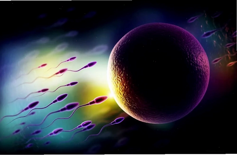 9 tác dụng của tinh trùng đối với sức khỏe