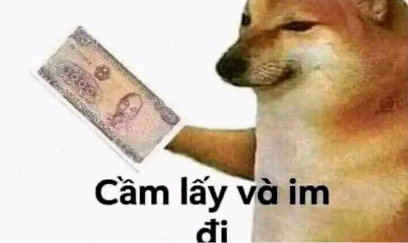 Ảnh meme mèo ngơ ngác dùng làm avatar