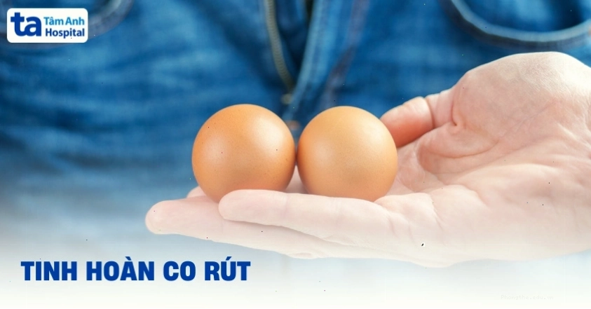 Ảnh minh họa: Tinh hoàn co rút có sao không?