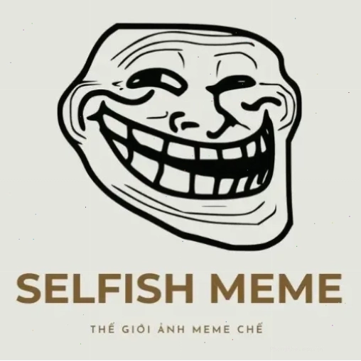 Avatar đôi nữ meme hài hước