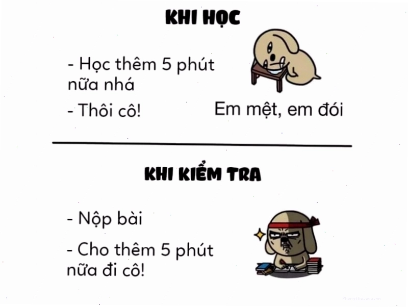 Avatar meme "5 phút khi học và khi kiểm tra"