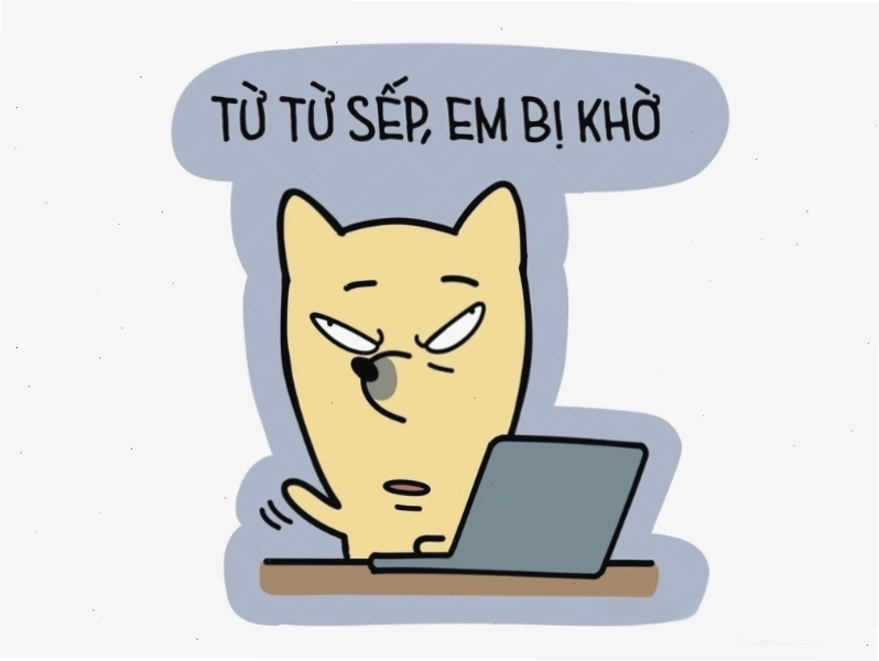 Avatar meme mèo bựa với biểu cảm ngơ ngác