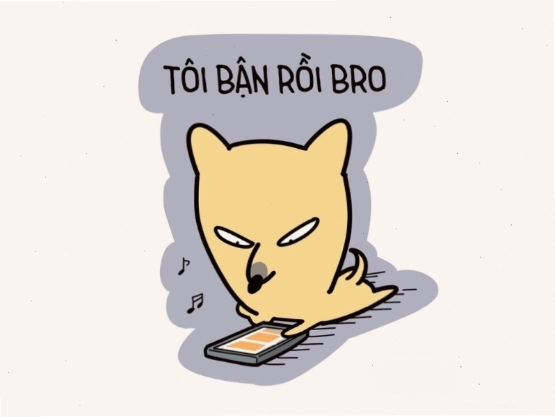 Avatar meme mèo "Tôi bận rồi bro"