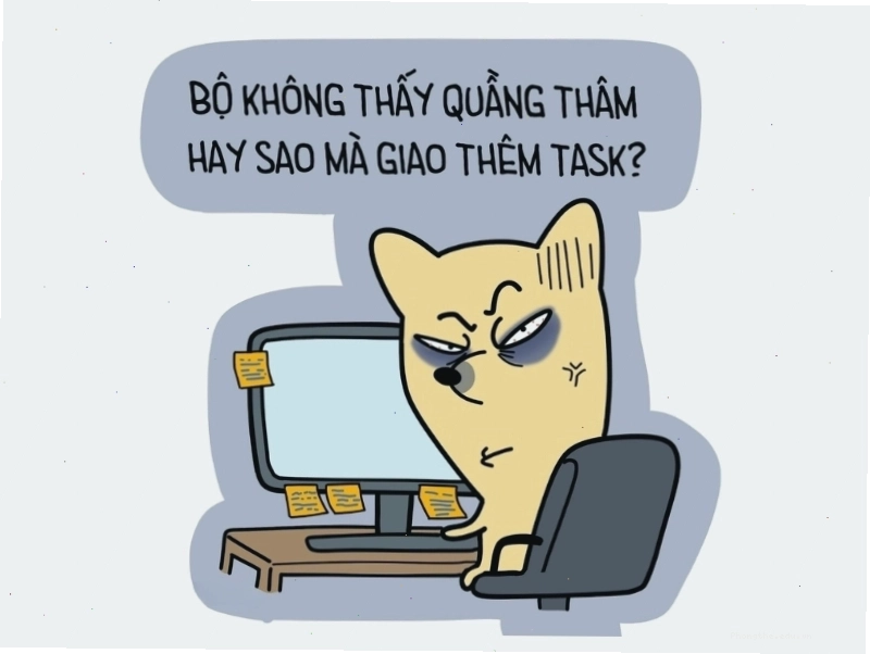 Avatar meme mèo với status "Không thấy quầng thâm hay sao mà giao thêm task"