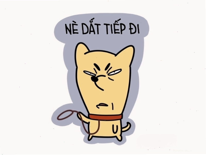 Avatar meme mèo với thông điệp "Nè đắt tiếp đi"